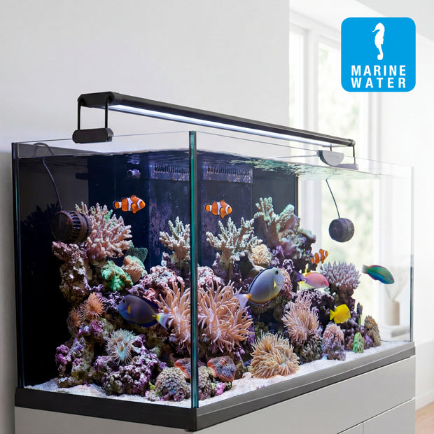 Lampada AQ-LUX REEF