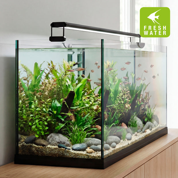 Lampada AQ-LUX FRESH