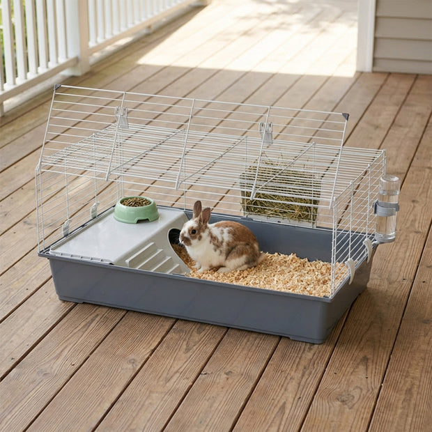 RABBIT 100