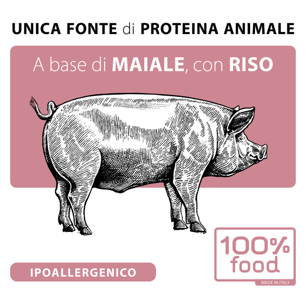 Crocchette per cani adulti Small – Maiale con Riso – 2 kg