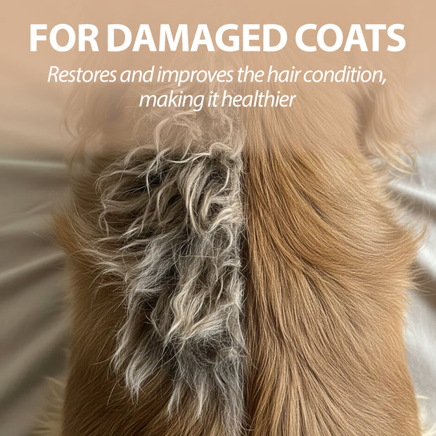 SHAMPOO PER CANI NATURÉ CON ARGILLA VERDE