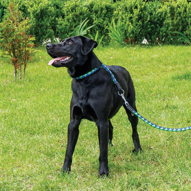 TWIST CS