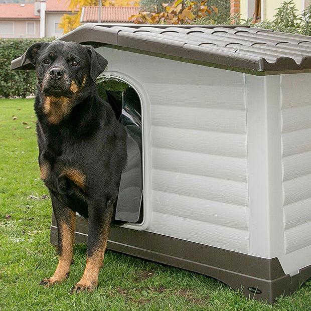 PORTA DOGVILLA