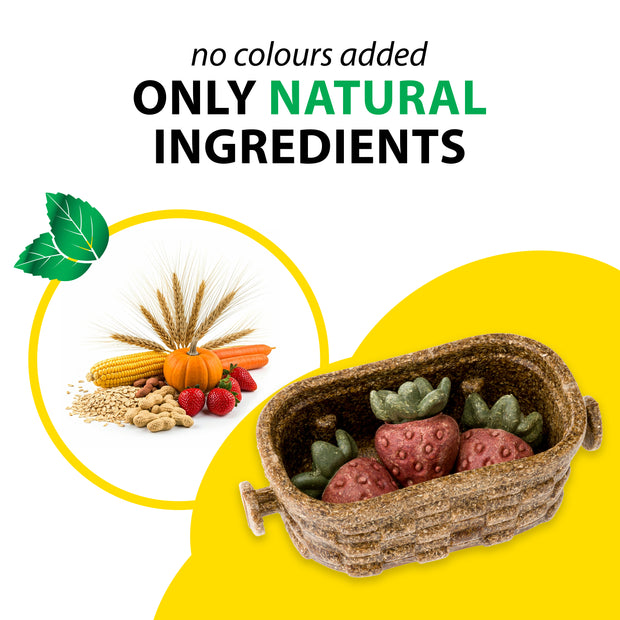 VEGGIE BITES FRAGOLA      