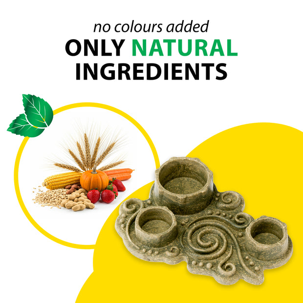 VEGGIE BITES CIOTOLA          