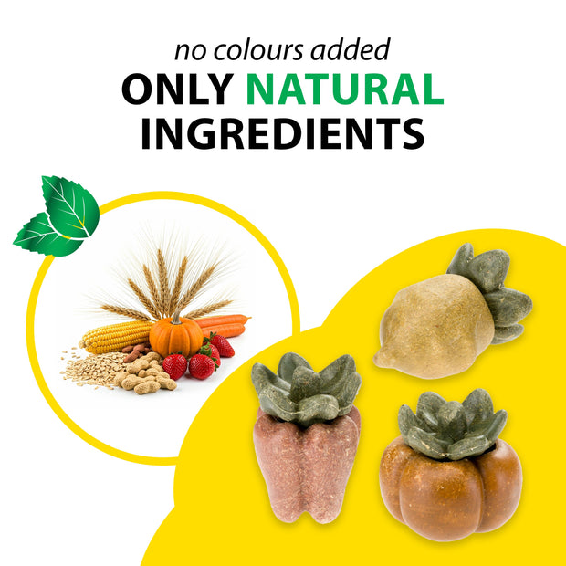 VEGGIE BITES VERDURE         