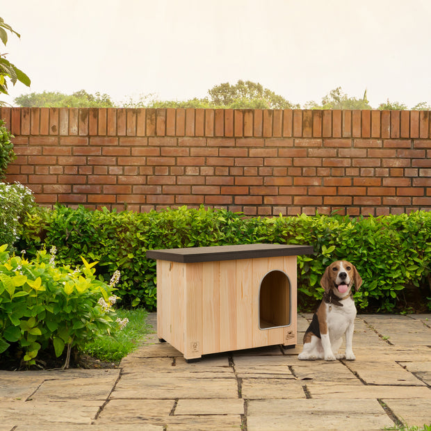 CLICKO cuccia in legno per cani