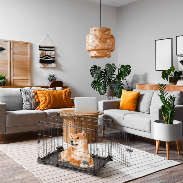 DOG ZONE gabbia per cani