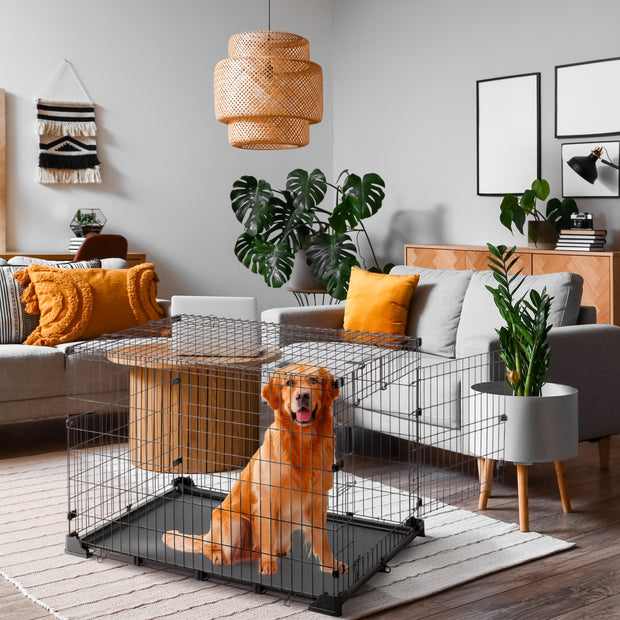 DOG ZONE gabbia per cani