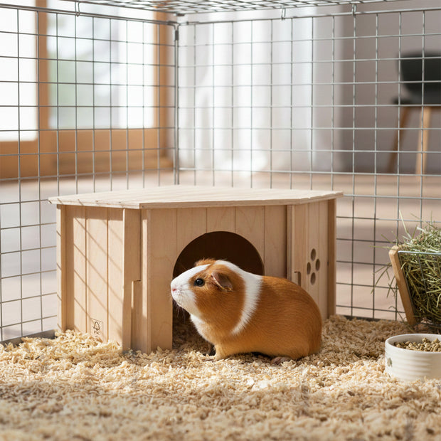 SIN CORNER Casetta in legno angolare per piccoli animali