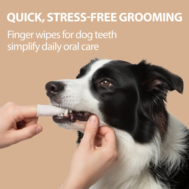 SALVIETTE MONOUSO DA DITO PER LA PULIZIA DEI DENTI DI CANI E GATTI NATURÉ (x50)