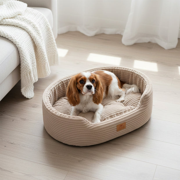 DANDY CORDUROY Cuccia divanetto con cuscino rimovibile per cani e gatti