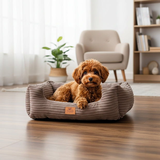 SWEETIE CORDUROY Cuccia morbida per cani e gatti