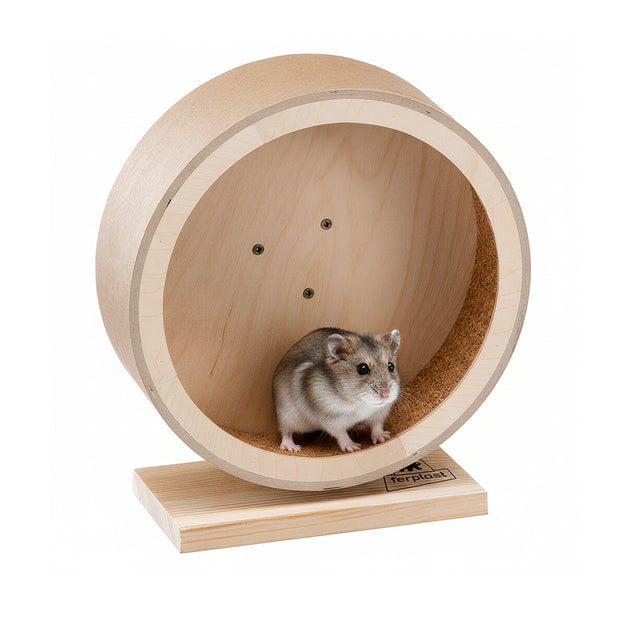 Ruota ARCADE WHEEL 21