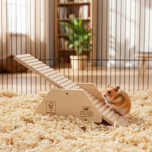 Altalena ARCADE SWING