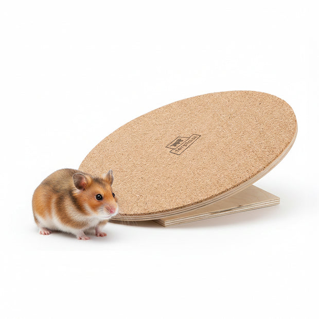 Disco ruota ARCADE DISK 20