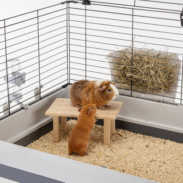 ARCADE TABLE Gioco in legno per piccoli animali