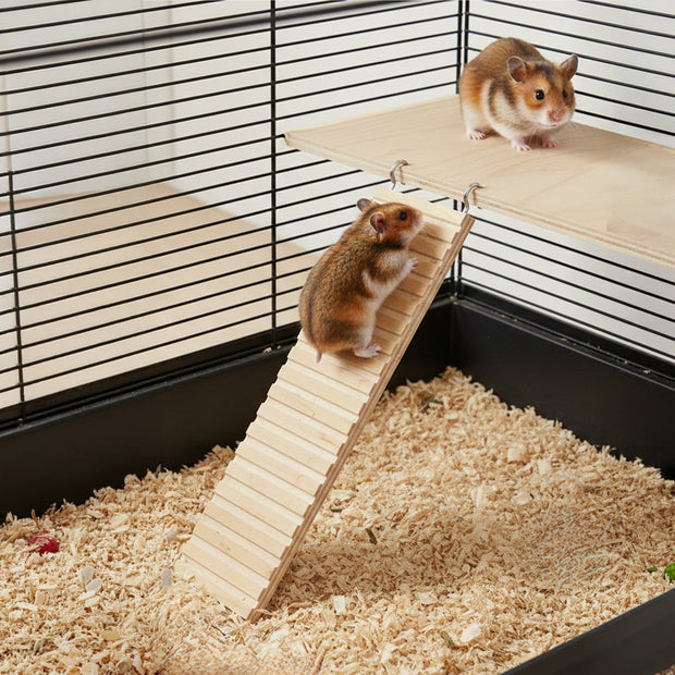 ARCADE LADDER Gioco in legno per criceti e piccoli animali