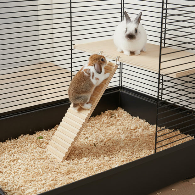 ARCADE LADDER Gioco in legno per criceti e piccoli animali