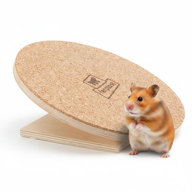 Disco ruota ARCADE DISK 20