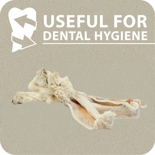 ORECCHIE DI CONIGLIO