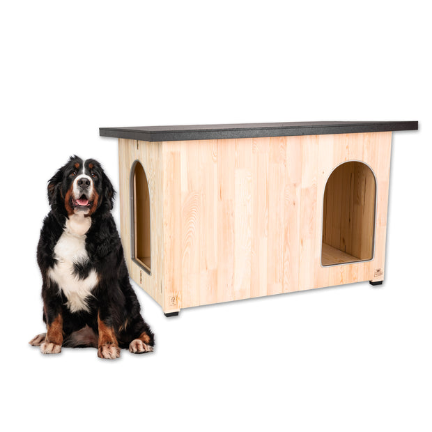 CLICKO cuccia in legno per cani