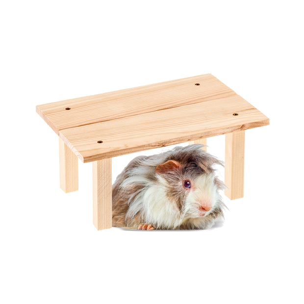 ARCADE TABLE Gioco in legno per piccoli animali