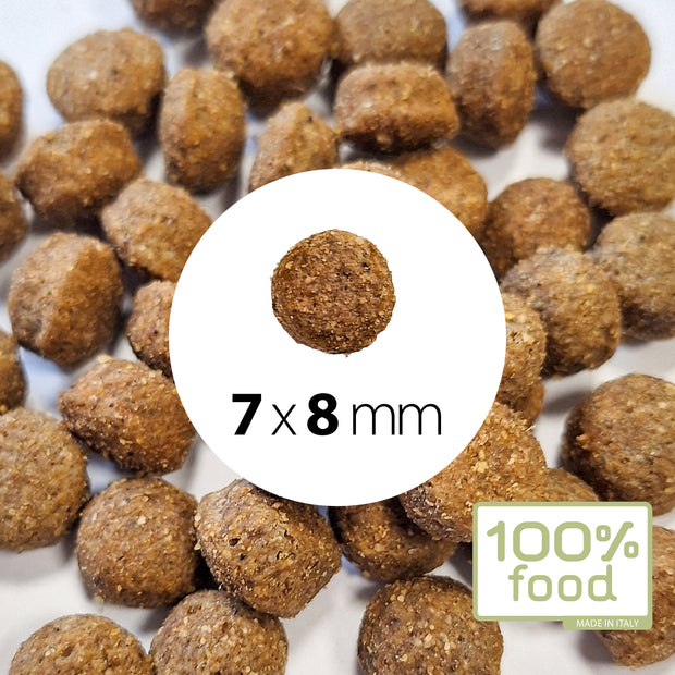 Crocchette per cani adulti Small – Agnello con Riso – 2 kg