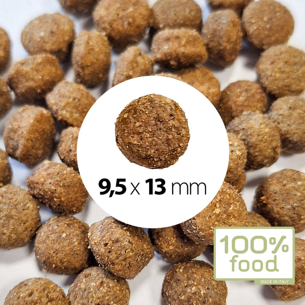Crocchette per cani adulti Medium & Large – Agnello con Riso – 10 kg