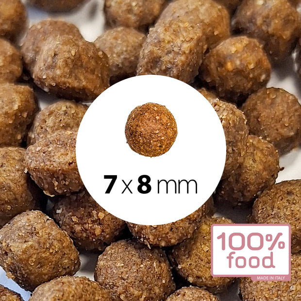 Crocchette per cani adulti Small – Maiale con Riso – 2 kg
