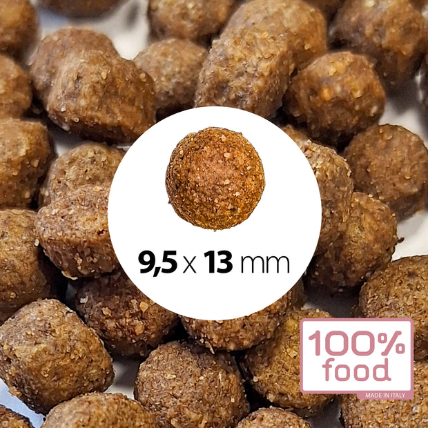 Crocchette per cani adulti Medium & Large – Maiale con Riso – 10 kg