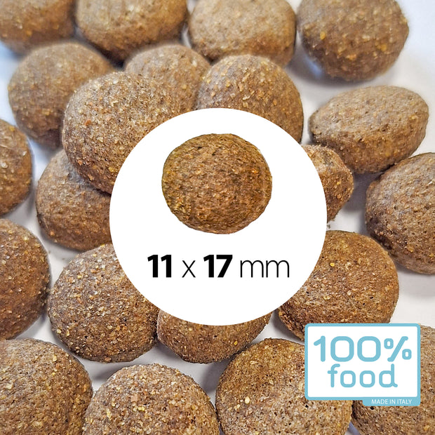 Crocchette per cani adulti Large & Giant – Merluzzo, Gamberetti e Patate – 10 kg