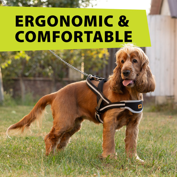 ERGOCOMFORT NORDIC