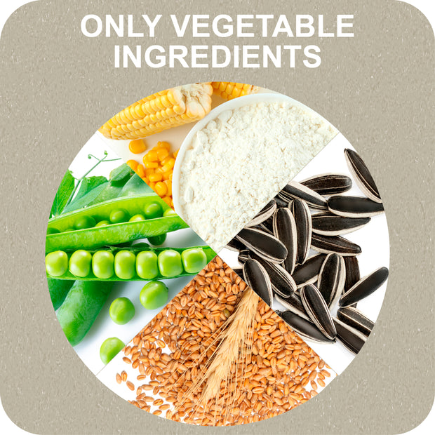 100% SNACK RIEMPIBILE - CANDY EUGLENA