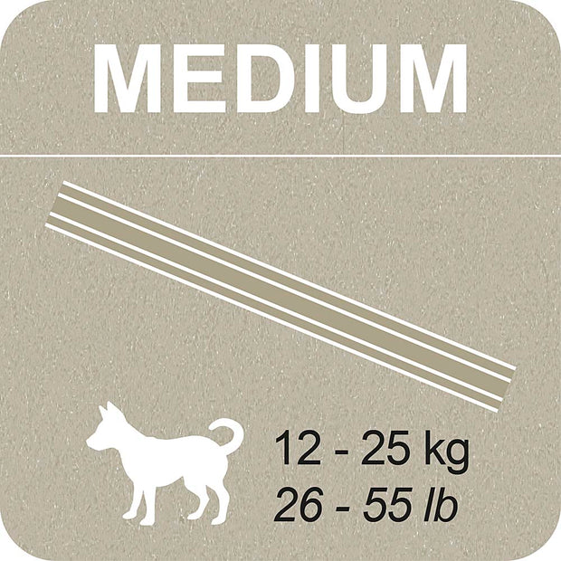 100% SNACK BASTONCINI - SNOWFLAKE MELISSA