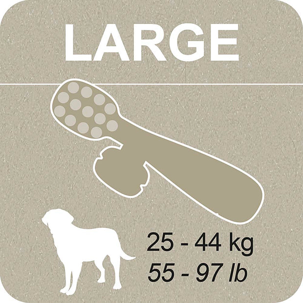 100% SNACK RIEMPIBILE -  TOOTHBRUSH ASCOPHILLUM