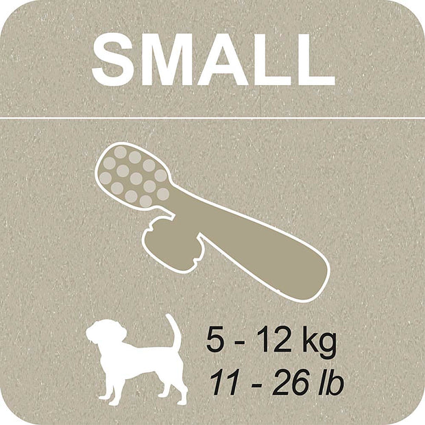 100% SNACK RIEMPIBILE -  TOOTHBRUSH ASCOPHILLUM