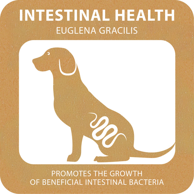 100% SNACK BASTONCINI - FUSILLI EUGLENA