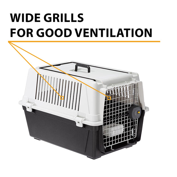 ATLAS 40 PROFESSIONAL