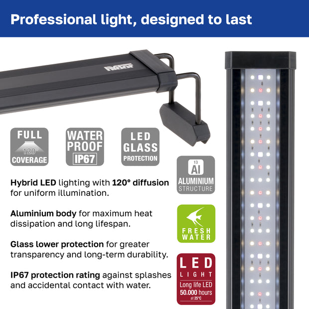 Lampada AQ-LUX FRESH