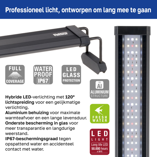 Lampada AQ-LUX FRESH