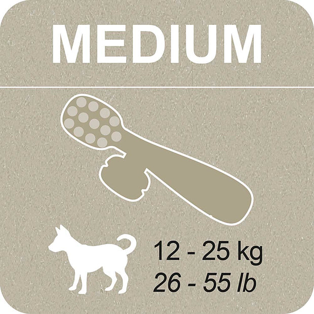 100% SNACK RIEMPIBILE - TOOTHBRUSH ASCOPHILLUM